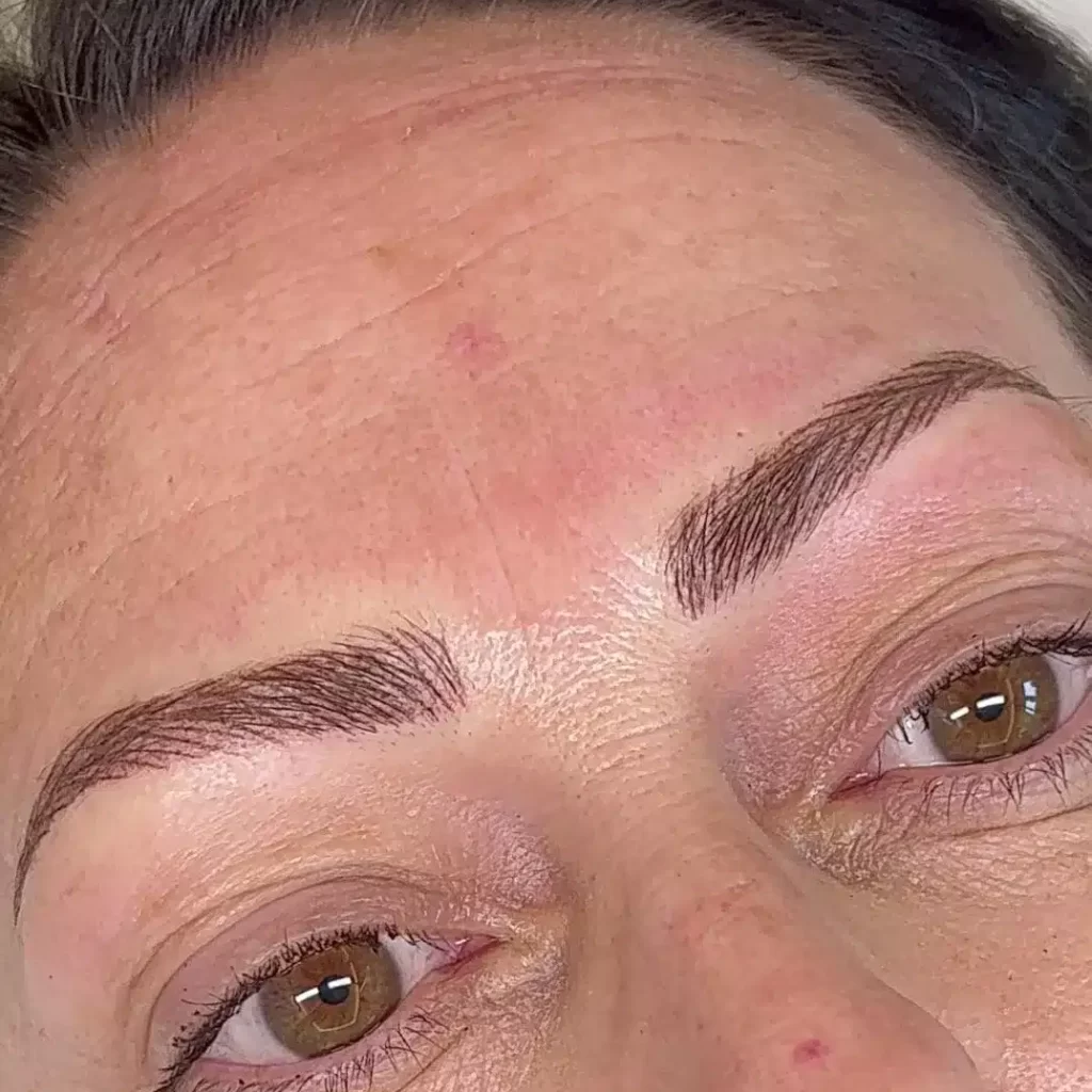 Hair Stroke PMU Brows